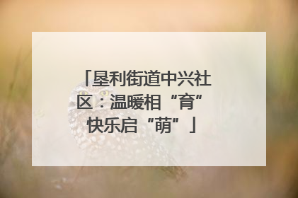 垦利街道中兴社区：温暖相“育” 快乐启“萌”