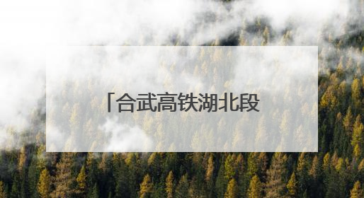 合武高铁湖北段建设取得新进展