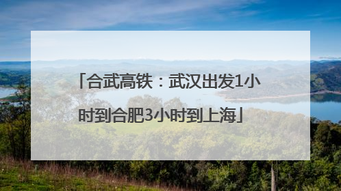 合武高铁：武汉出发1小时到合肥3小时到上海