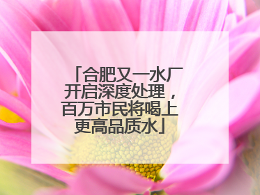 合肥又一水厂开启深度处理，百万市民将喝上更高品质水