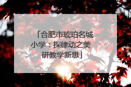 合肥市琥珀名城小学：探律动之美 研教学新思