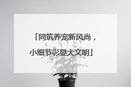 同筑养宠新风尚，小细节彰显大文明