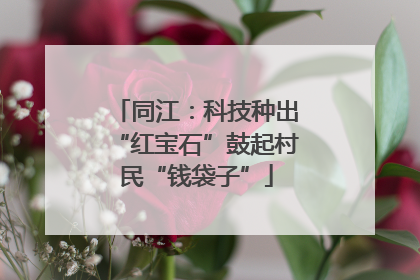 同江：科技种出“红宝石”鼓起村民“钱袋子”