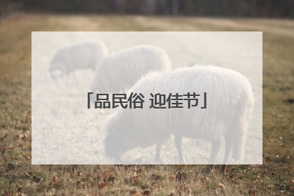 品民俗 迎佳节