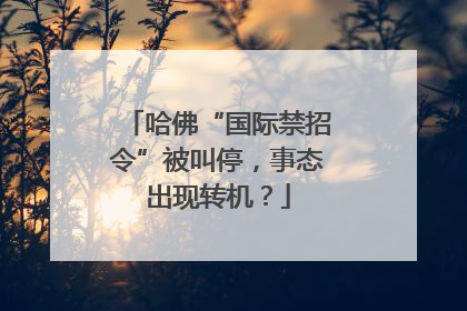 哈佛“国际禁招令”被叫停，事态出现转机？