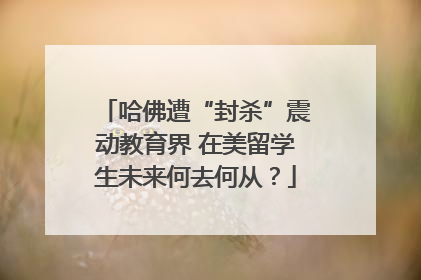 哈佛遭“封杀”震动教育界 在美留学生未来何去何从？