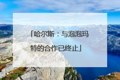 哈尔斯：与泡泡玛特的合作已终止