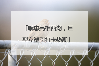哦崽亮相西湖，巨型立塑引打卡热潮