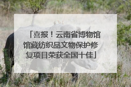 喜报！云南省博物馆馆藏纺织品文物保护修复项目荣获全国十佳