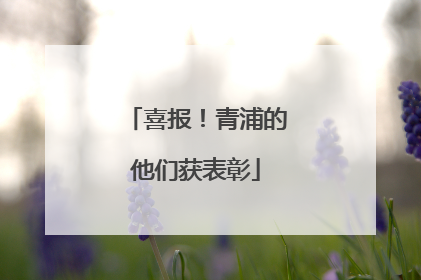 喜报！青浦的他们获表彰