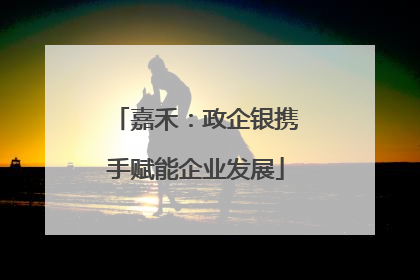 嘉禾：政企银携手赋能企业发展