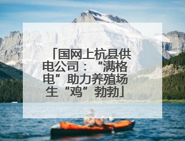 国网上杭县供电公司：“满格电”助力养殖场生“鸡”勃勃