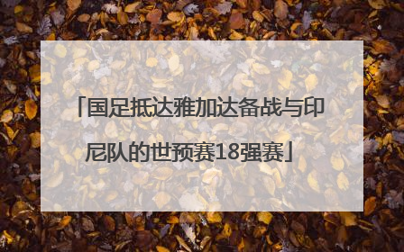 国足抵达雅加达备战与印尼队的世预赛18强赛