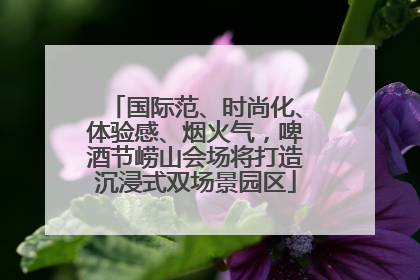 国际范、时尚化、体验感、烟火气，啤酒节崂山会场将打造沉浸式双场景园区