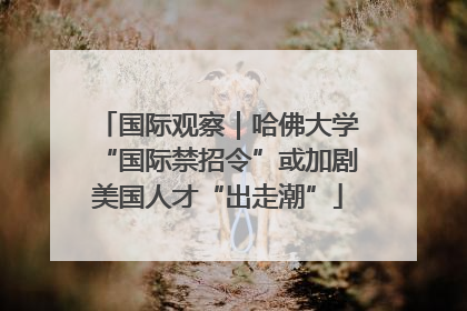 国际观察｜哈佛大学“国际禁招令”或加剧美国人才“出走潮”