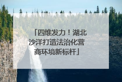 四维发力！湖北沙洋打造法治化营商环境新标杆