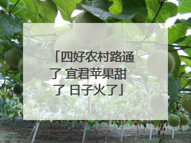 四好农村路通了 宜君苹果甜了 日子火了