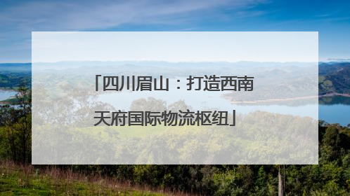 四川眉山：打造西南天府国际物流枢纽