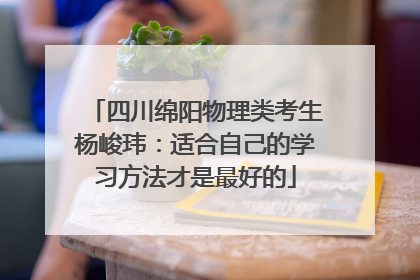四川绵阳物理类考生杨峻玮：适合自己的学习方法才是最好的