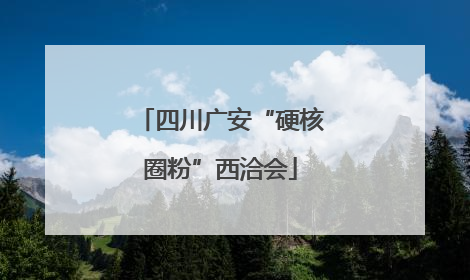 四川广安“硬核圈粉”西洽会