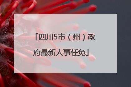 四川5市（州）政府最新人事任免