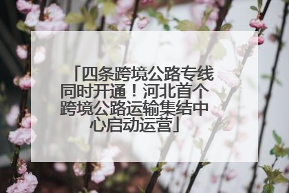四条跨境公路专线同时开通！河北首个跨境公路运输集结中心启动运营