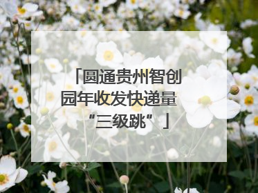 圆通贵州智创园年收发快递量“三级跳”
