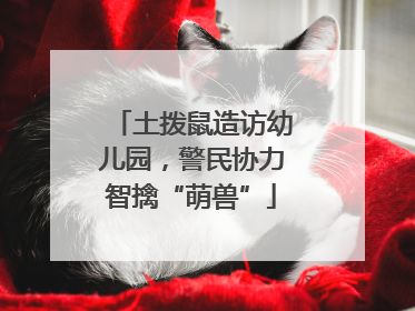 土拨鼠造访幼儿园，警民协力智擒“萌兽”
