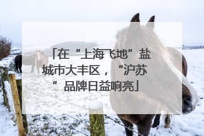 在“上海飞地”盐城市大丰区，“沪苏”品牌日益响亮