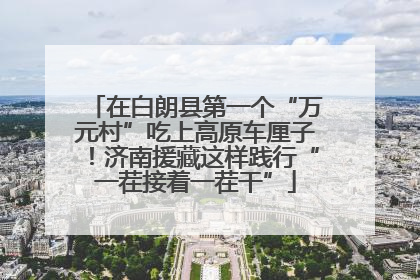 在白朗县第一个“万元村”吃上高原车厘子！济南援藏这样践行“一茬接着一茬干”