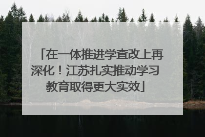 在一体推进学查改上再深化！江苏扎实推动学习教育取得更大实效