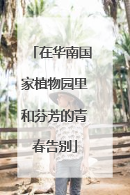 在华南国家植物园里和芬芳的青春告别