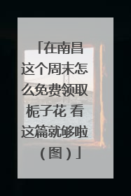在南昌 这个周末怎么免费领取栀子花 看这篇就够啦（图）