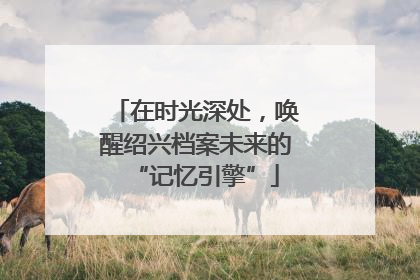 在时光深处，唤醒绍兴档案未来的“记忆引擎”