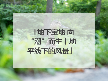 地下宝地 向“潮”而生丨地平线下的风景