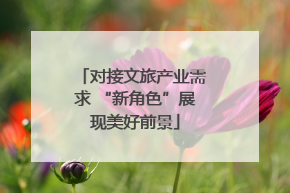 对接文旅产业需求 “新角色”展现美好前景