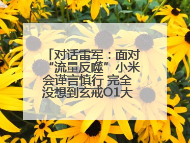 对话雷军：面对“流量反噬”小米会谨言慎行 完全没想到玄戒O1大受欢迎