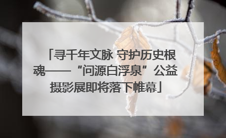 寻千年文脉 守护历史根魂——“问源白浮泉”公益摄影展即将落下帷幕