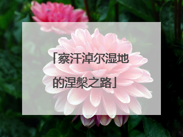察汗淖尔湿地的涅槃之路