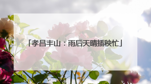孝昌丰山：雨后天晴插秧忙