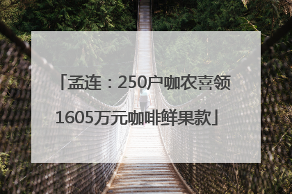 孟连：250户咖农喜领1605万元咖啡鲜果款