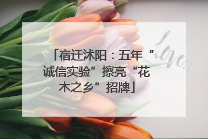 宿迁沭阳：五年“诚信实验”擦亮“花木之乡”招牌