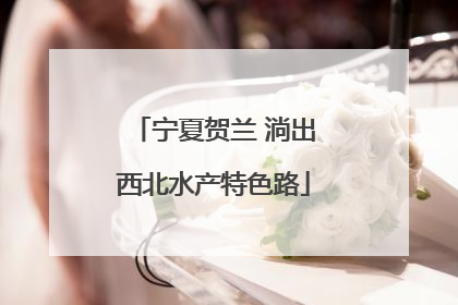 宁夏贺兰 淌出西北水产特色路