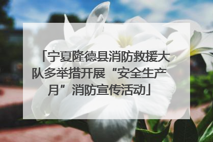 宁夏隆德县消防救援大队多举措开展“安全生产月”消防宣传活动