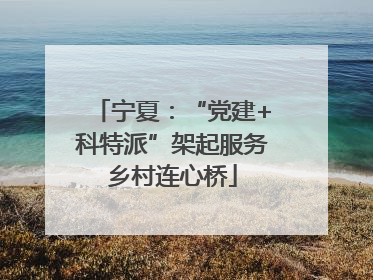 宁夏:“党建+科特派”架起服务乡村连心桥