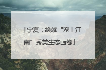 宁夏：绘就“塞上江南”秀美生态画卷