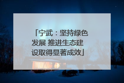 宁武：坚持绿色发展 推进生态建设取得显著成效