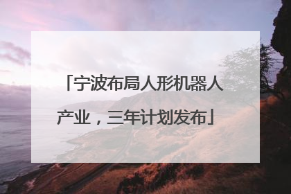 宁波布局人形机器人产业，三年计划发布