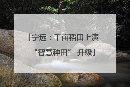 宁远:千亩稻田上演 “智慧种田” 升级