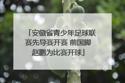 安徽省青少年足球联赛先导赛开赛 前国脚赵鹏为比赛开球